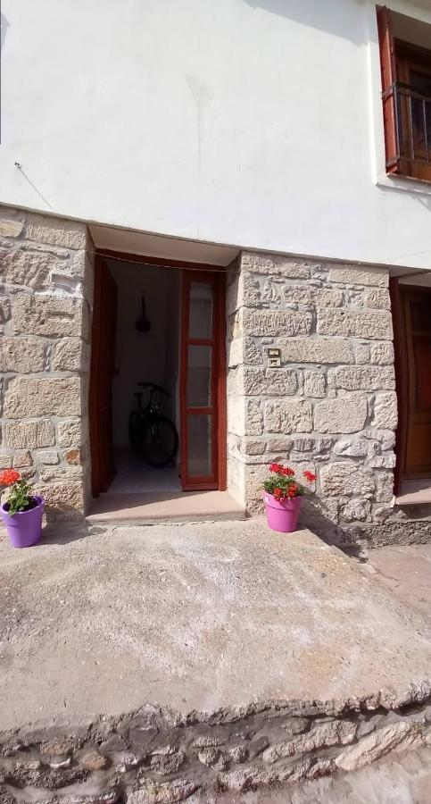 Agapis Apartments Petra (Lesbos) Exterior foto